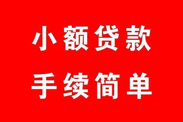 成都19个人贷款小额贷款-成都19贷款无抵押-成都19小额贷款当天放款-第1张图片-成都私人借钱服务中心